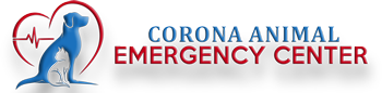 Corona Animal Emergency Center
